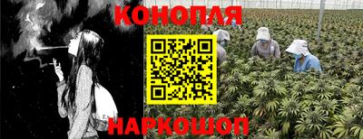 ГАЛЛЮЦИНОГЕННЫЕ ГРИБЫ Пыть-Ях