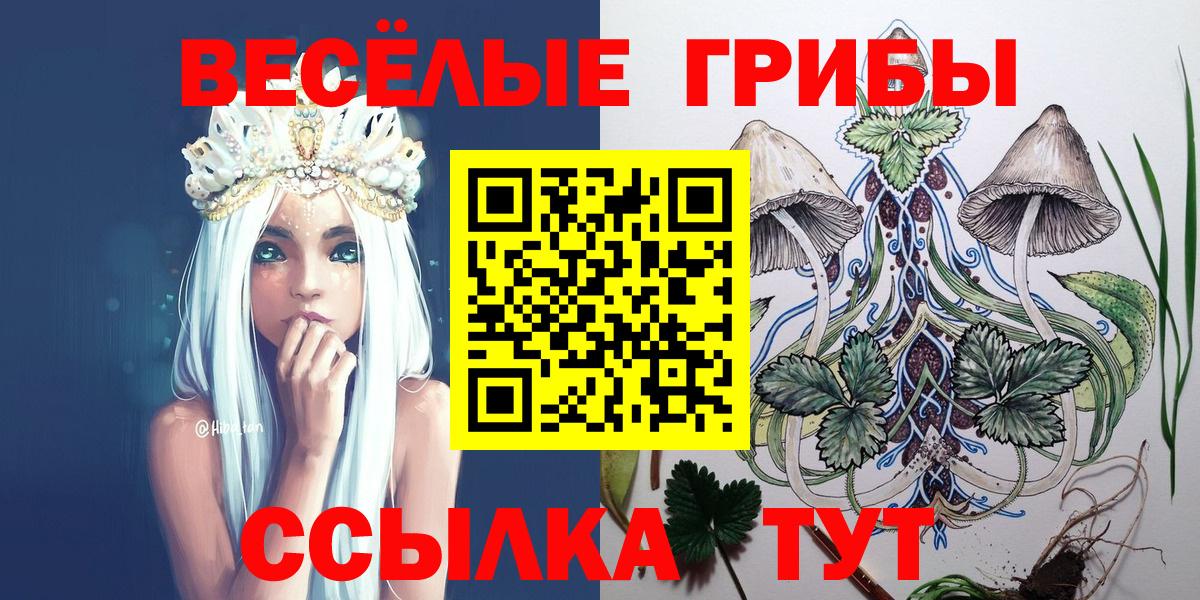 Псилоцибиновые грибы MAGIC MUSHROOMS Рассказово